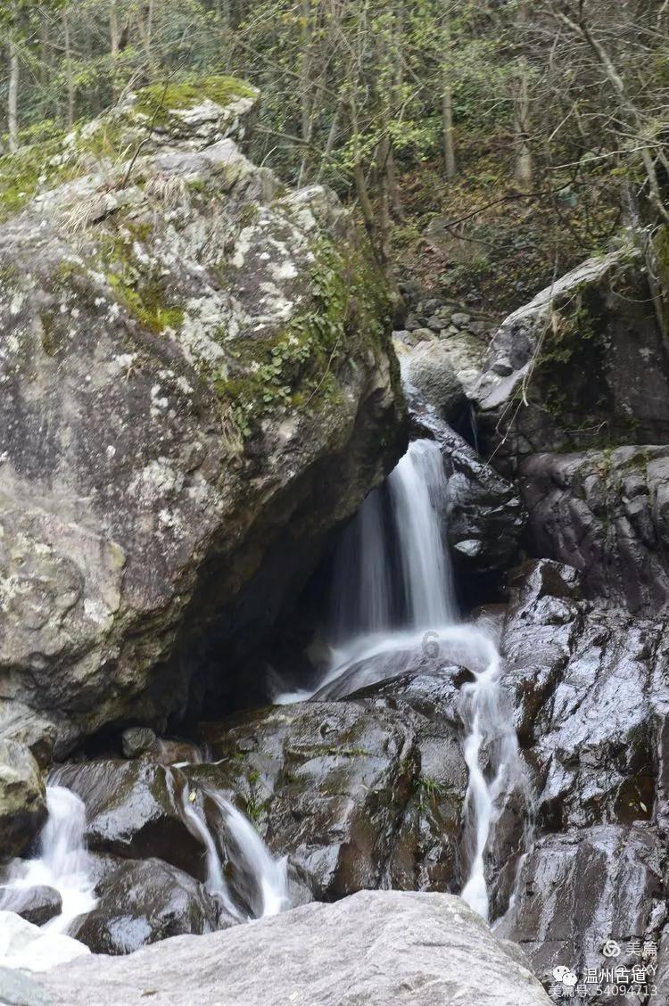 莫雷岛逃脱